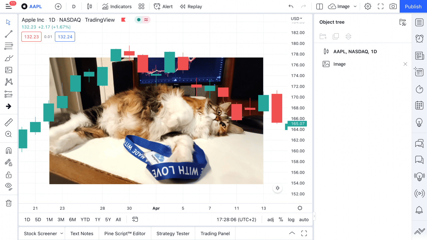 New Features TradingView: Adding Images To The Chart