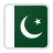 Pakistan Flag Icon