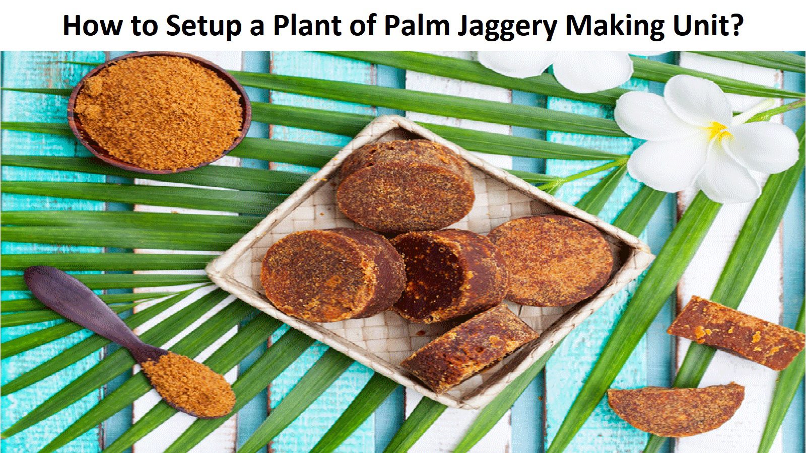 How to Setup a Plant of Palm Jaggery Making Unit?